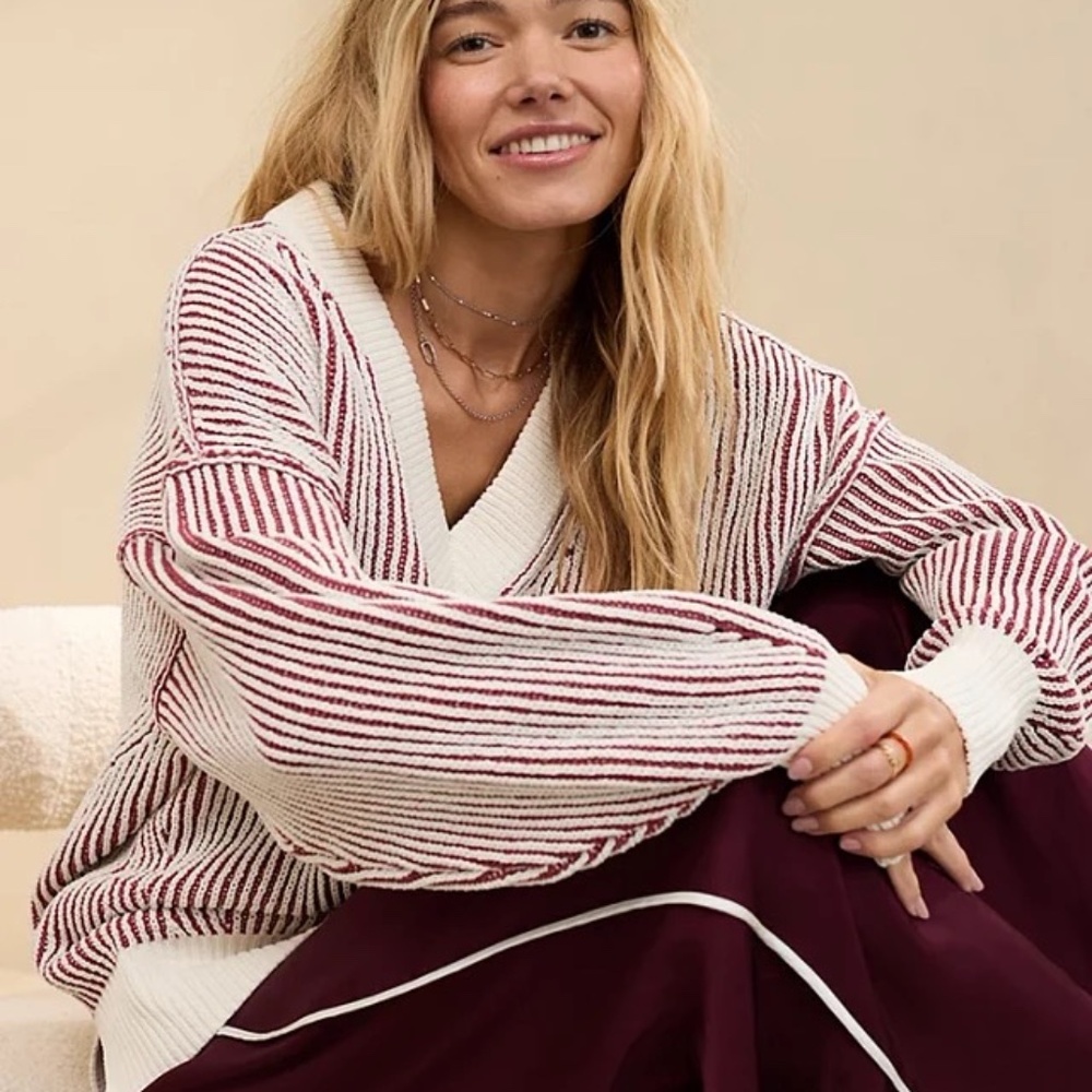 Aerie Beyond Chenille V-Neck Sweater